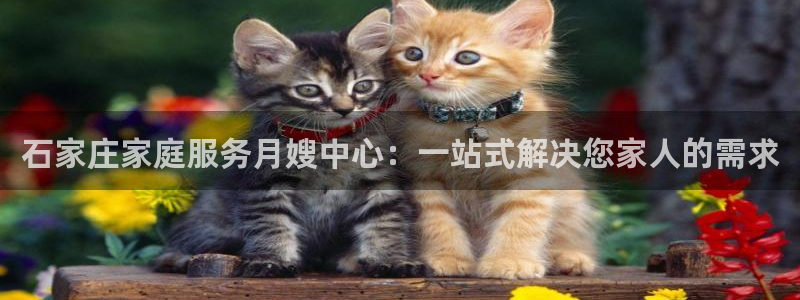 杏悦平台登录地址